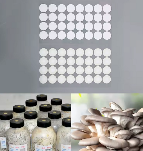 Synthetic Filter Paper Stickers 20 Mm Filter Disc Mushroom Applied Under Wide Mouth Jar Lid For Mushroom Cultivation